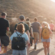 Load image into Gallery viewer, Small group of people hiking on Hike & Seek 12 Apostles, Otways & Great Ocean Road day tour