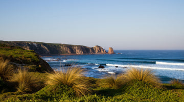 Things To Do In Phillip Island