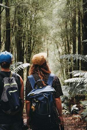 Two male friends walk through the forest on Hike & Seek 12 Apostles, Otways & Great Ocean Road day tour 