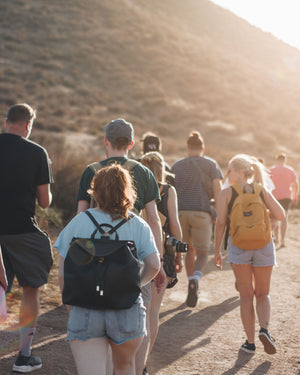 Small group of people hiking on Hike & Seek 12 Apostles, Otways & Great Ocean Road day tour