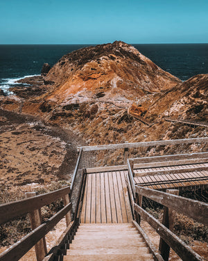 Cape Schanch boardwalk Hike & Seek day tours