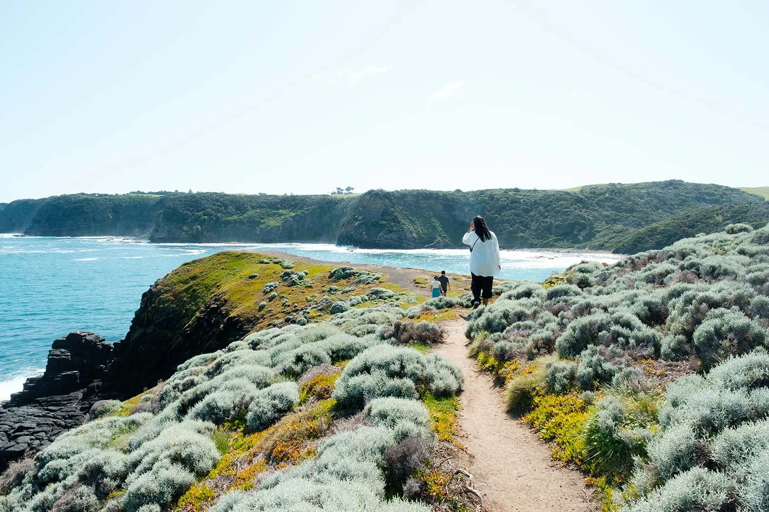 Private Mornington Peninsula tour