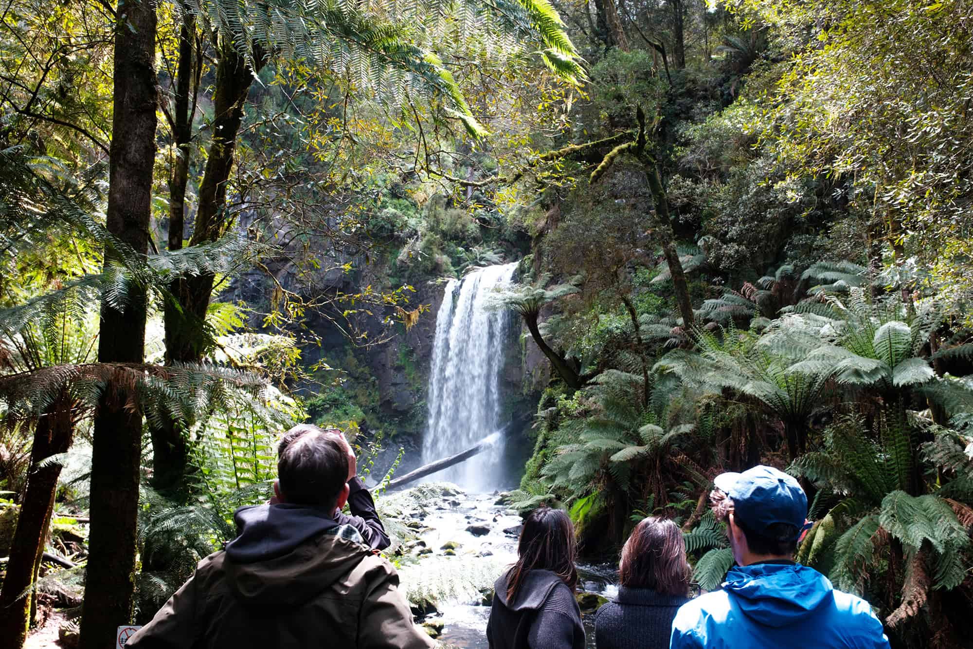 Hopetoun Falls in Great Otway National Park
