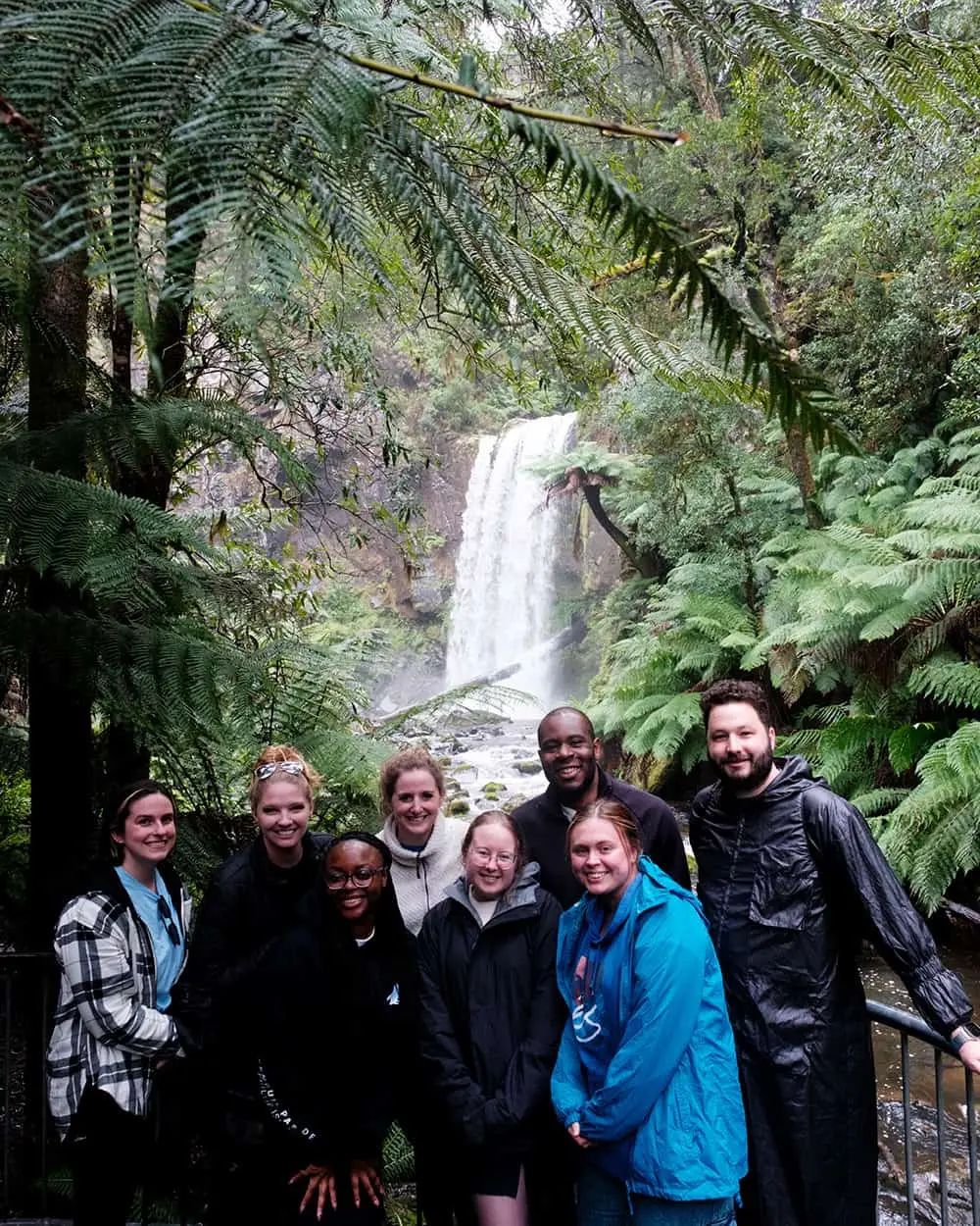 Rainforest around Hopetoun Falls in the Otways