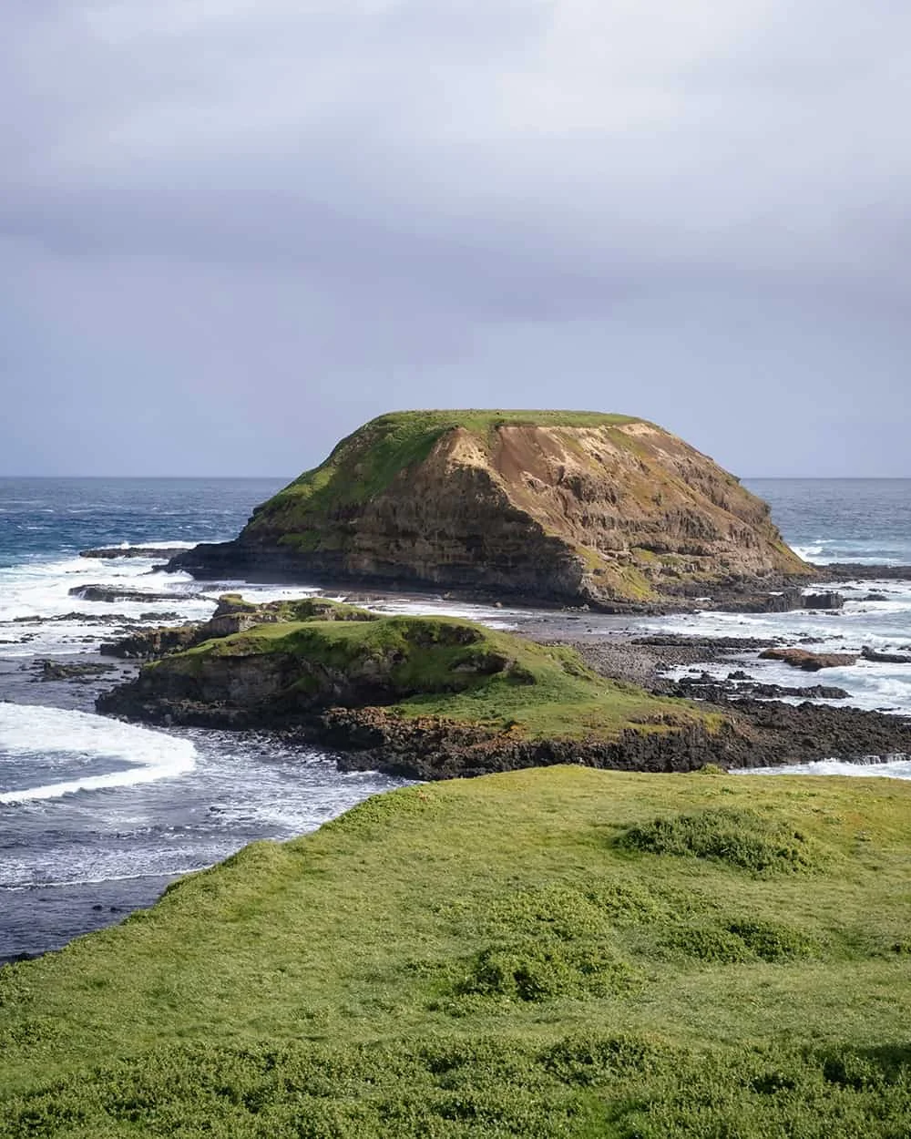 Little Penguins returning to shore on Phillip Island