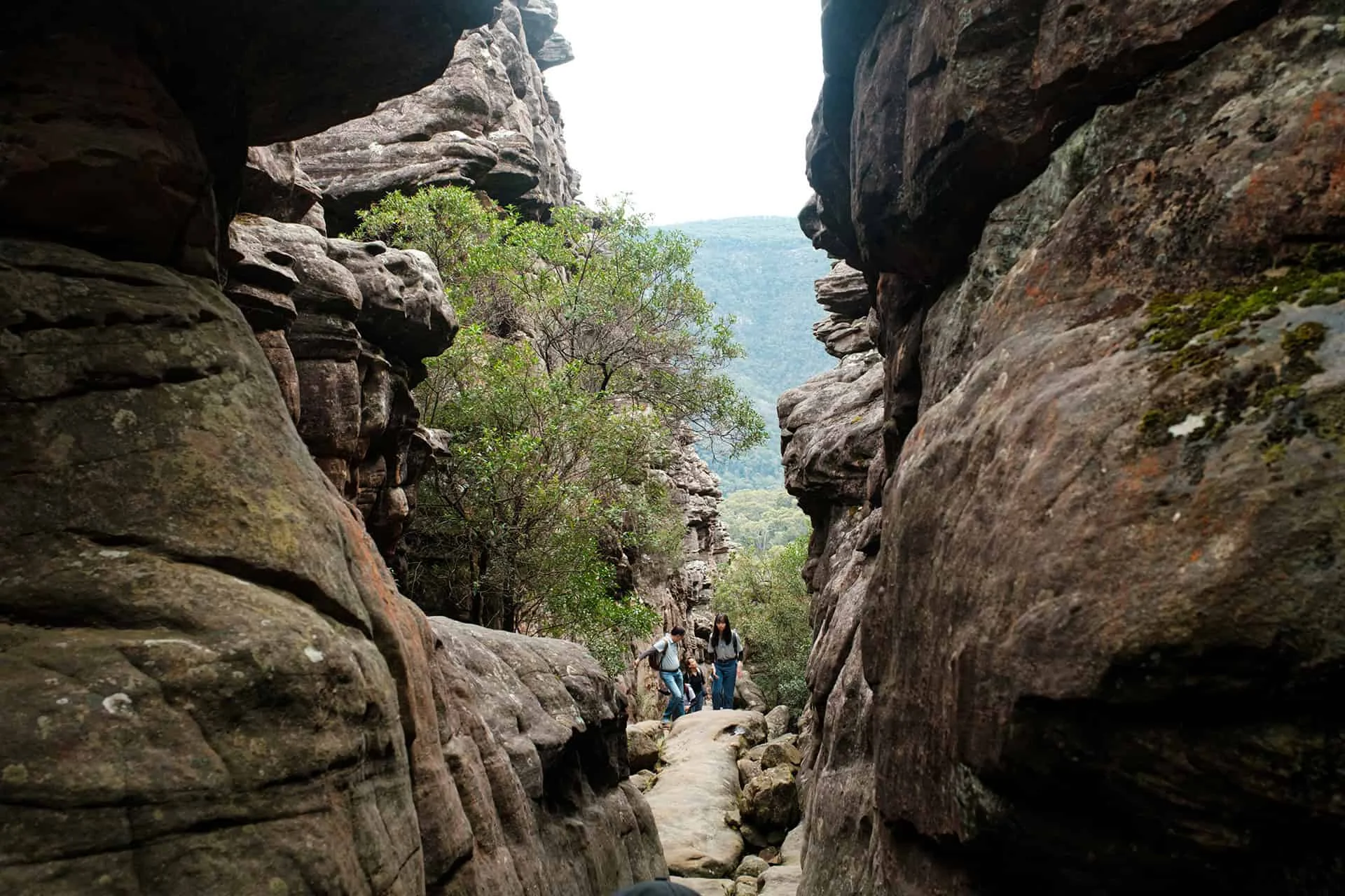 Silent Street in the Grampians